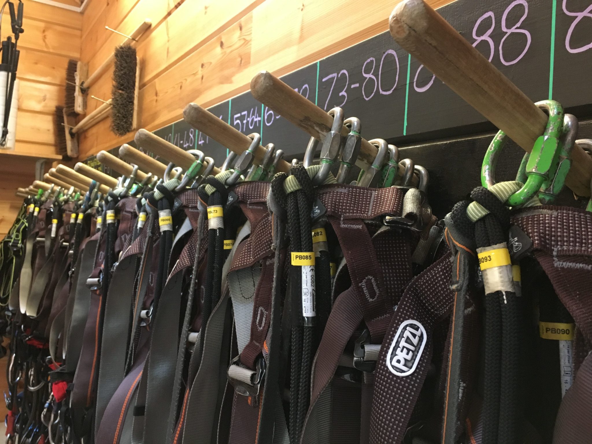 to Tough Tags Tough Tags